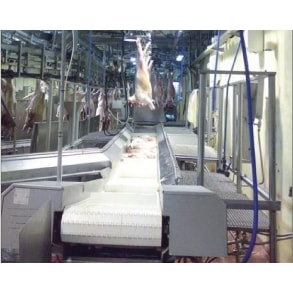 Viscera conveyor system Blasau